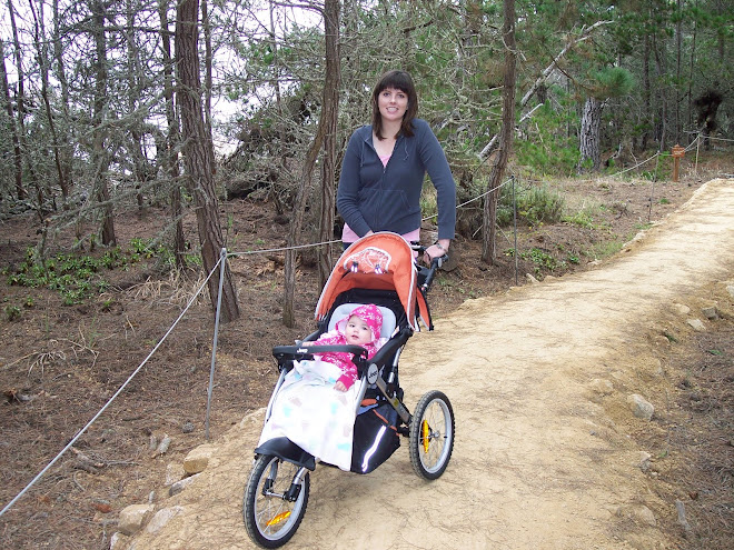 a walk at point lobos