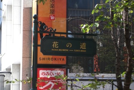 [DSC01672.JPG]