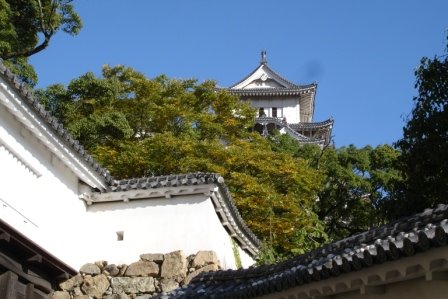 [DSC01583.JPG]
