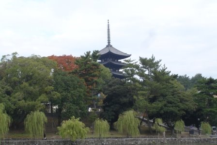 [DSC01871.JPG]