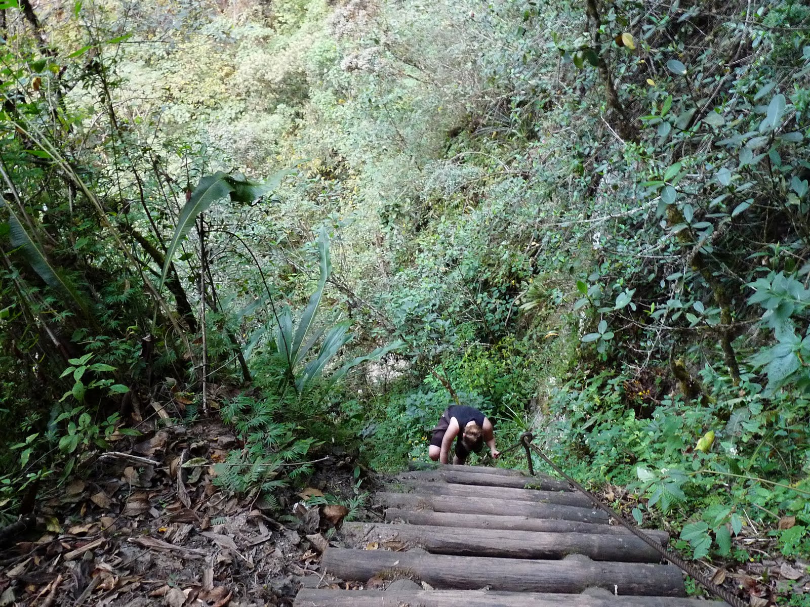 [12escalier.jpg]