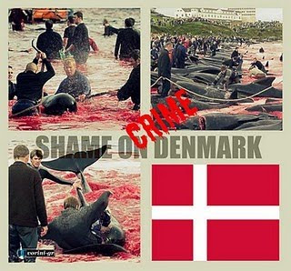 SHAME ON DENMARK
SHAME ON DENMARK