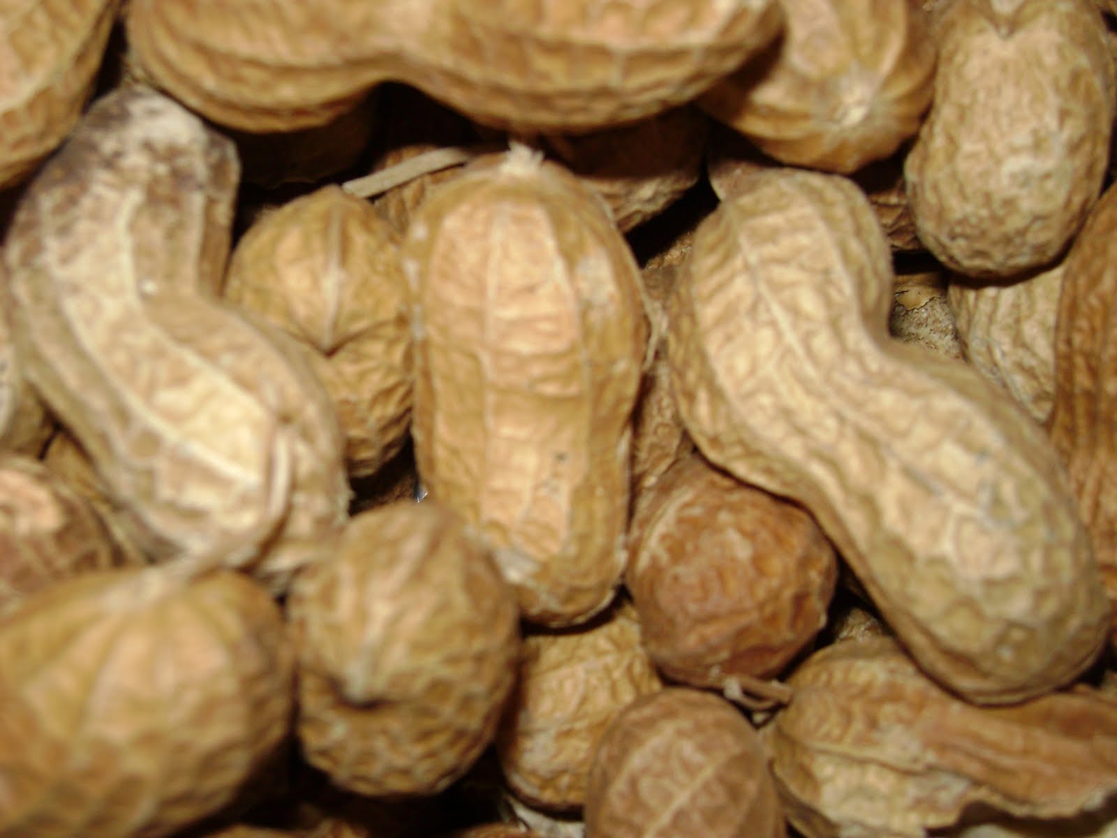 Alcohol Products That Contain Nuts