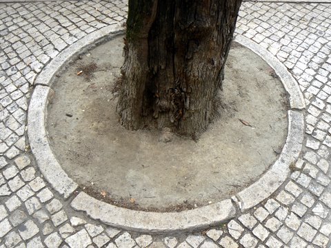 [rodrigo.da.fonseca-caldeira.1.cimento.JPG]