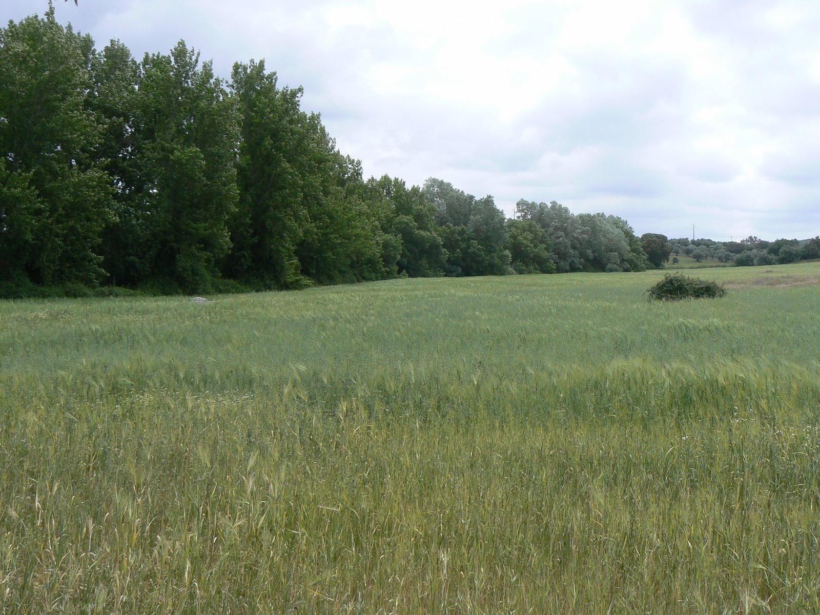 [P1100125.JPG]