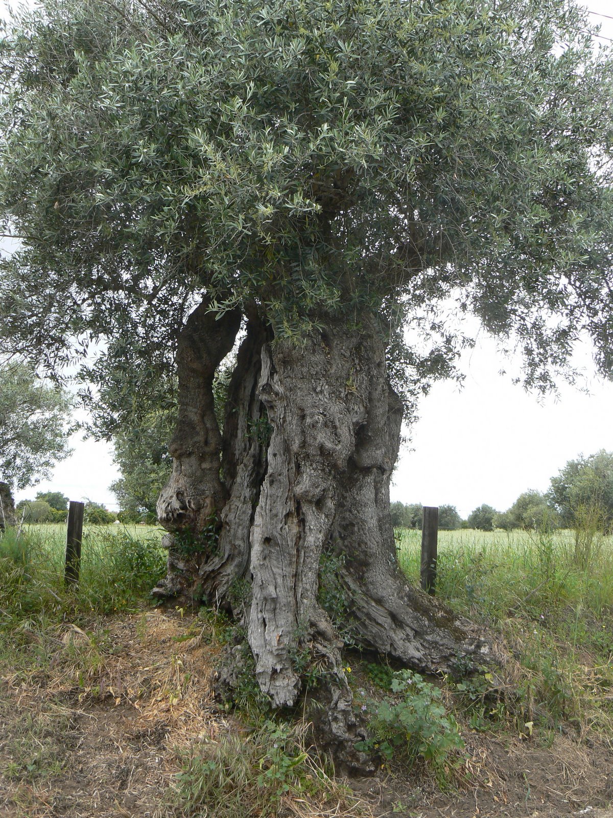[P1100097.JPG]