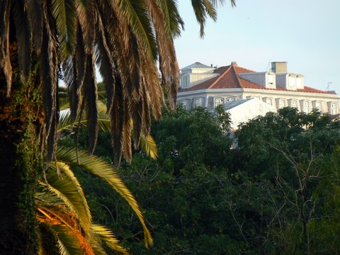 [JB-vista-Rua-D.PedroV-h.JPG]