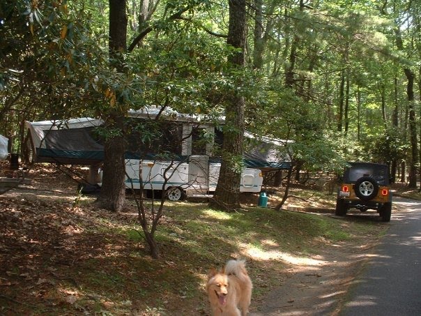 I love camping and Buddy does too!