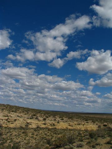 [IMG_8397-764551.JPG]