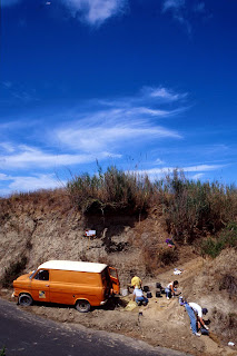 Lusodinos Dinossauros de Portugal Miragaia longicollum, II