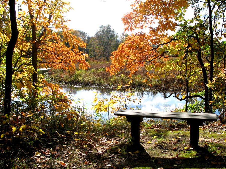 [2009_1017.jpg]