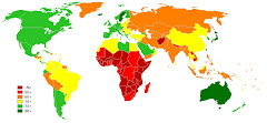 Life Expectancy