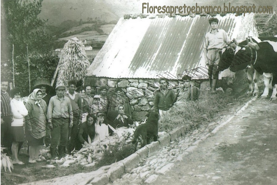 [fazenda2carlosalves.jpg]