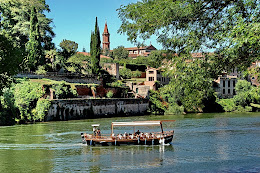 Albi