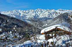 Picos de Europa