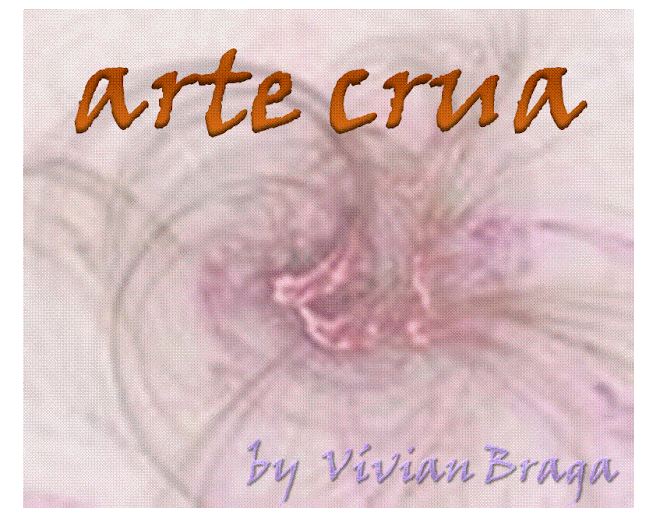 arte crua - by Vívian Braga