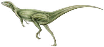 [lesothosaurus_diagnosticus.jpg]