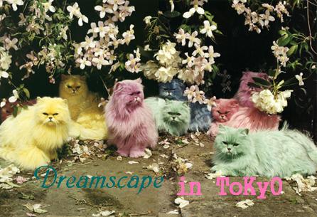 dreamscape in TOKYO