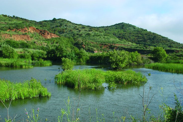 la importancia del agua importancia del agua. la importancia del agua