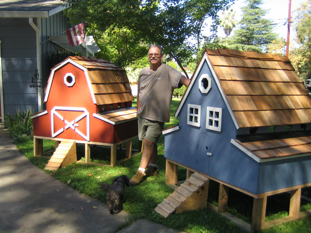 Chicken Coops : Homes For Poultry