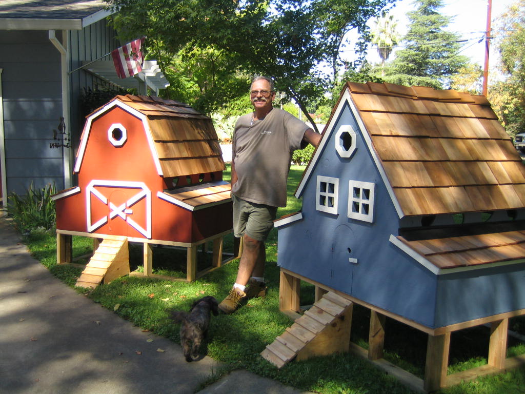 DC chicken coops Chicken Coops Homes For Poultry