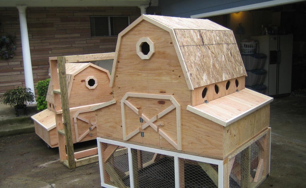 DC chicken coops Chicken Coops Homes For Poultry