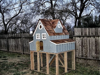 DC chicken coops: Chicken Coops : Homes For Poultry