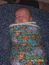 Swaddled up Royce