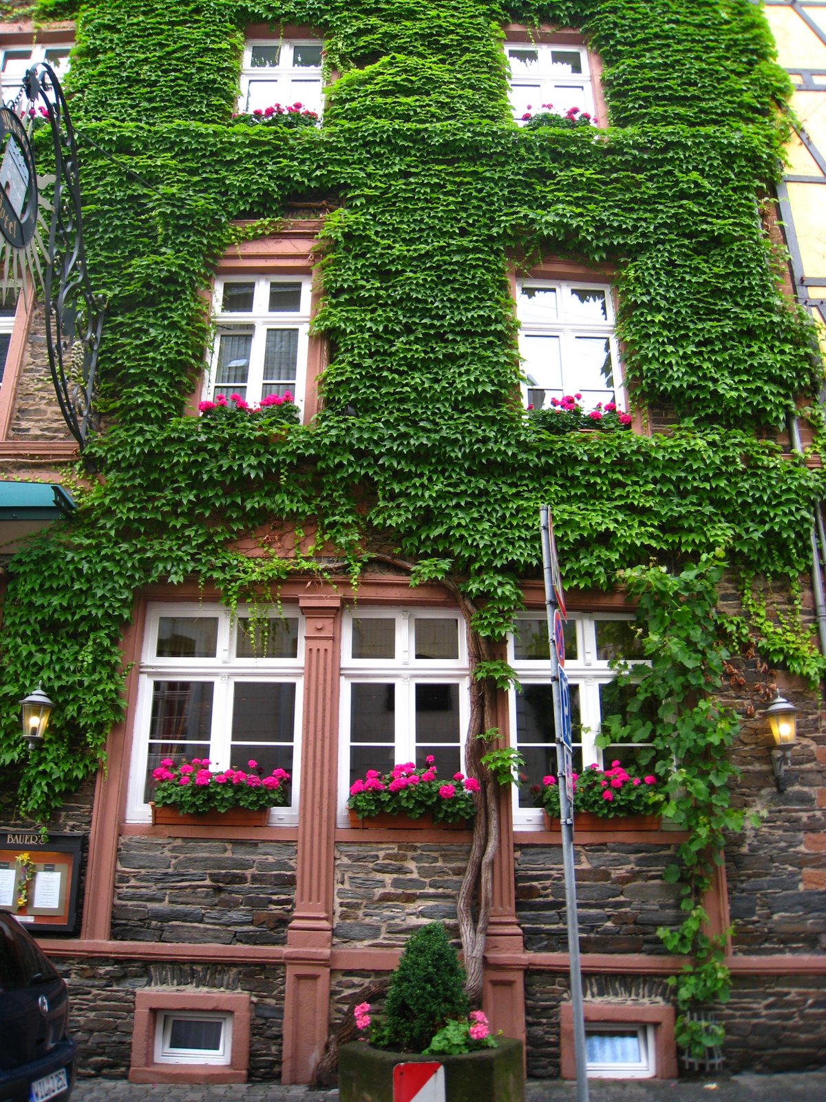 [IMG_3945.JPG]