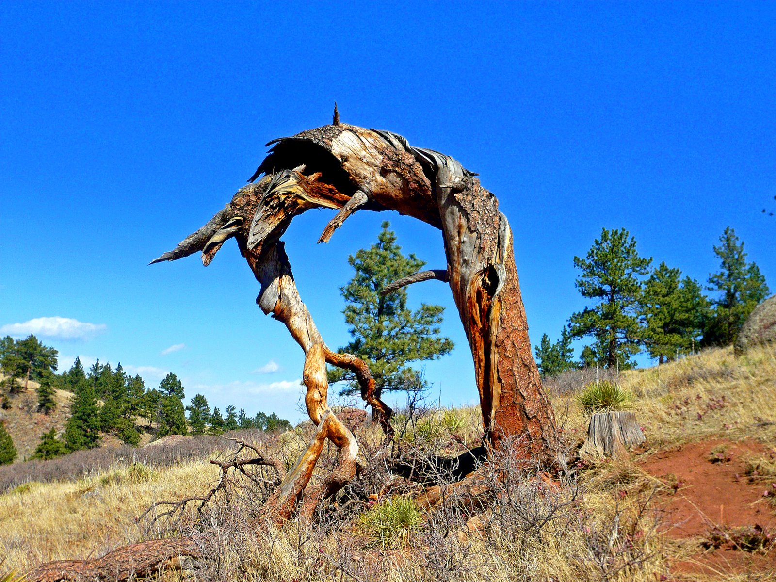 [P1040500_edited.JPG]