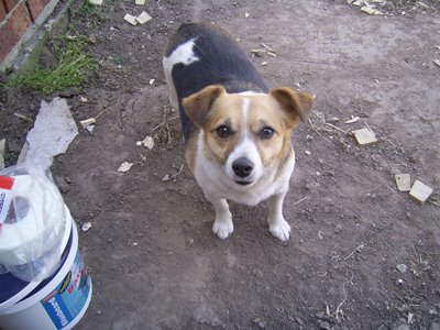 [Site-Supervisor-Roxy.jpg]