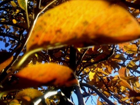[PB160078+-+Cópia.JPG]
