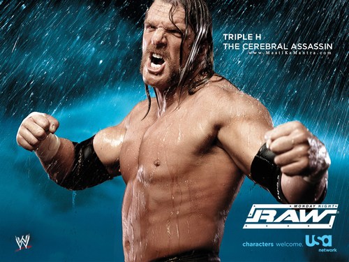 triple h wallpapers triple h wallpapers