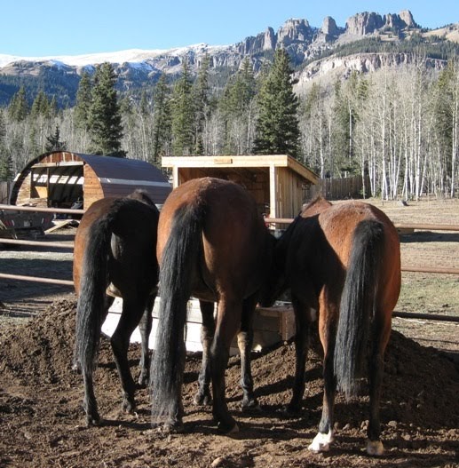 High Mountain Horse Insulated Water Trough