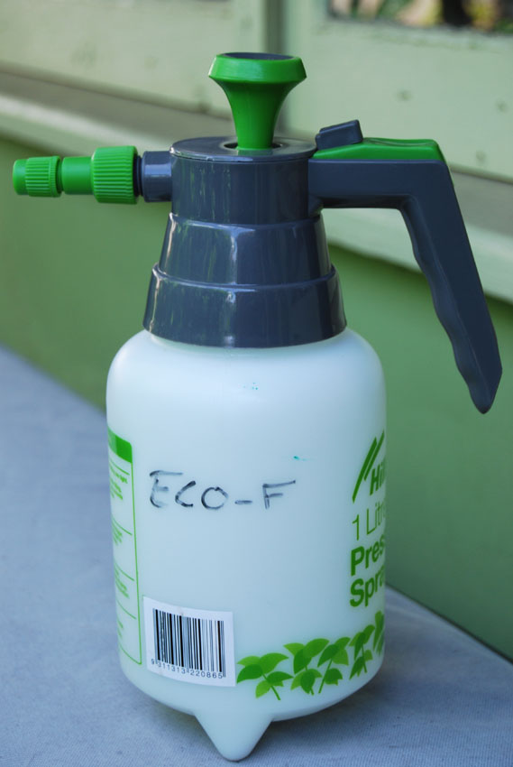 Garden amateur Powdery mildew controls