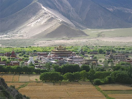 [IMG_0996.JPG]