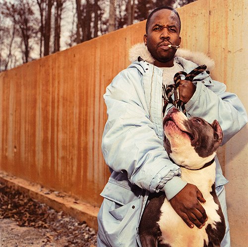 [bigboi.jpg]