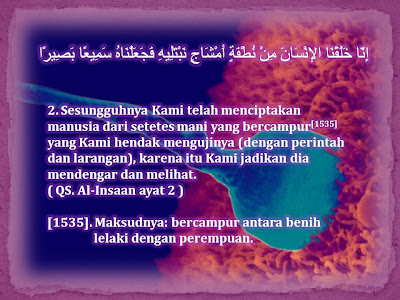 Embriologi Menurut Al-Quran