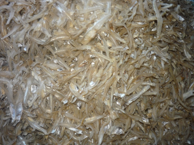 Perniagaan Online Senarai Harga Ikan Bilis Mengikut Gred