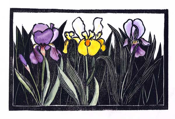 [Irises-woodcut-WC.jpg]