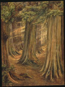 [Carr+--+Wood+Interior+1909.jpg]