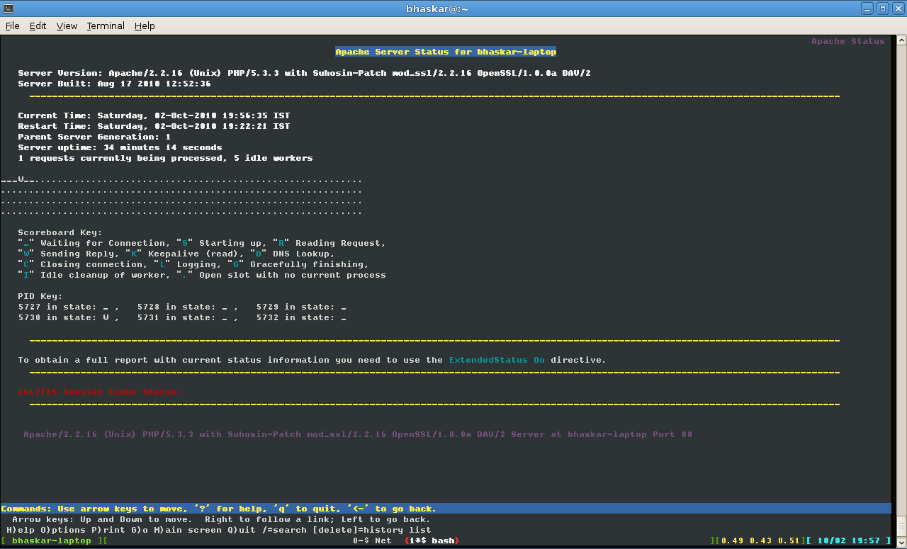 Apache Server Status