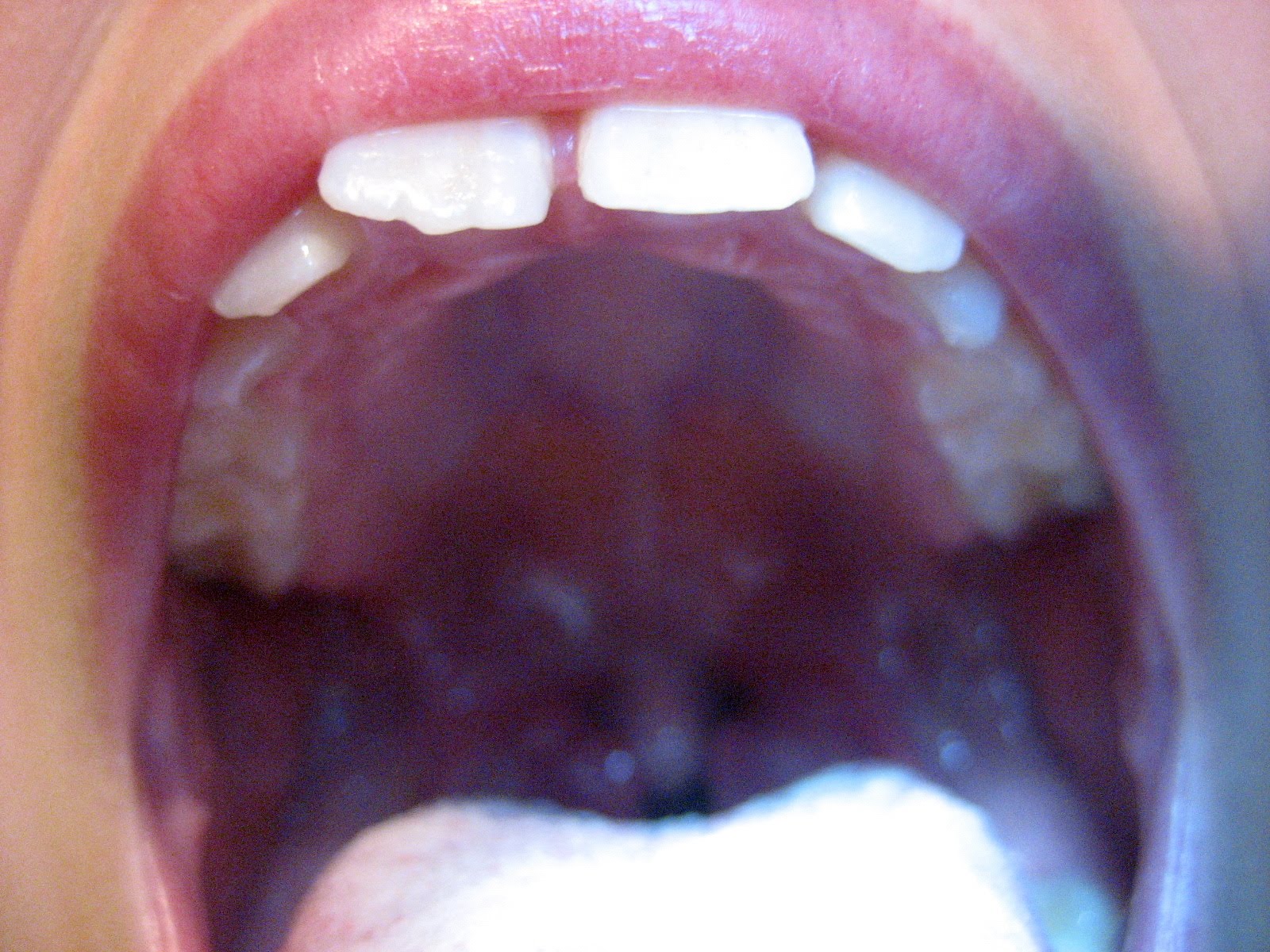 Tahroja kankaalla, paperilla ja taikinassa elokuuta 2010