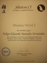 diplomas del terapeuta