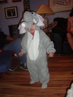 [elephant+2]