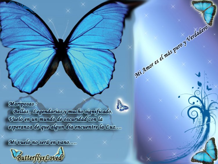 Mariposas : En mi alma, corazón y ser.