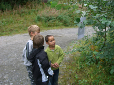 Die 102 Besten Bilder Von Werken Schule In 2020 Bastelideen
