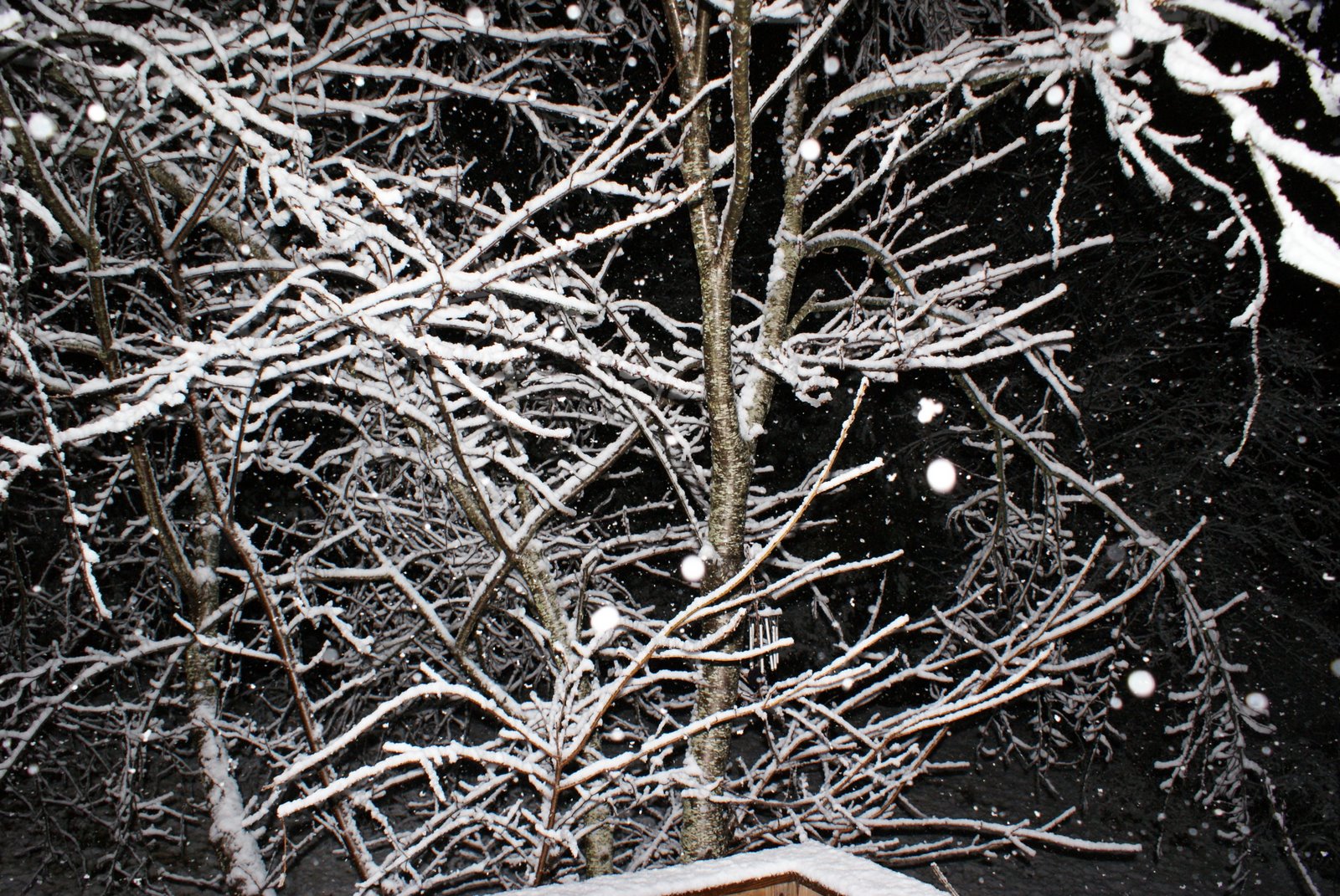 [snow+047.JPG]