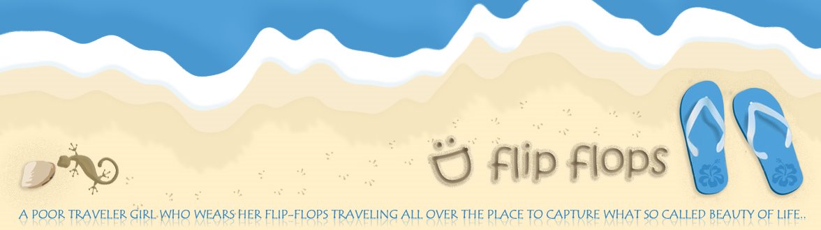 Flip-Flops