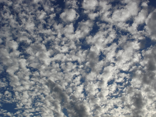 Free Drifters, December 2008